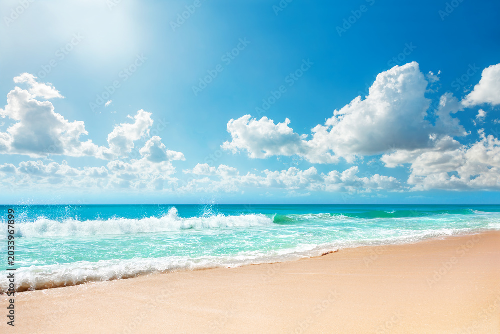 Fototapeta premium Beautiful sandy beach and tropical sea