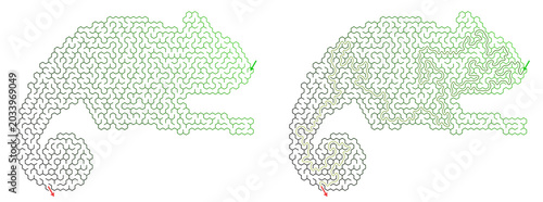 Foto Hexagonal maze puzzle game in the shape of a chameleon