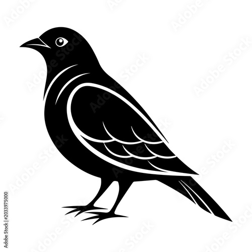 bird silhouette black vector icon style