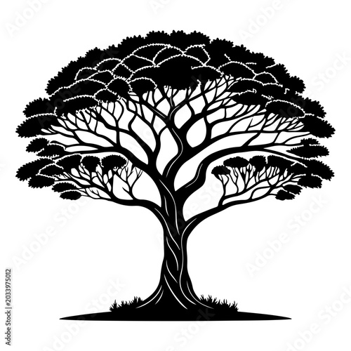 tree silhouette black vector icon style