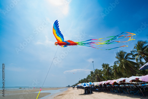 Parrot Kite Soaring Over Beach: A vibrant, parrot-shaped kite dances in the wind against a clear blue sky, with a tropical beach and palm trees lining the shore below.