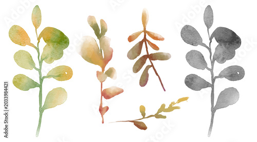 A versatile set of watercolor plant branches: stems and leaves in earthy tones and monochrome. A collection of digital illustrations in a watercolor style.