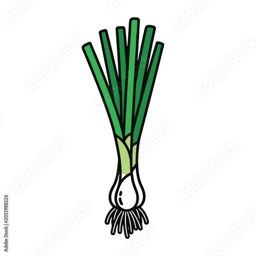 Fresh green onions scallion bunch icon vector illustration
