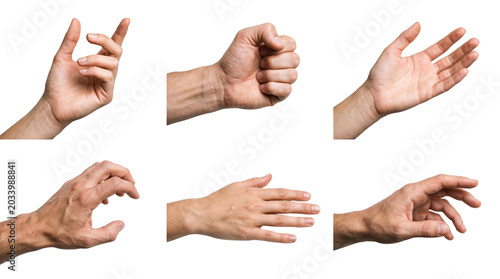 Quadro su tela Collection of diverse male hand gestures and poses, isolated on a clean transparent background for design elements