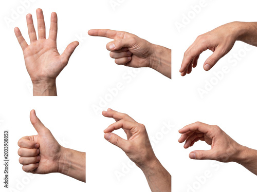 Obraz na płótnie Comprehensive set of diverse male hand gestures and positions, conveying communication and interaction