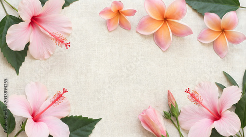 Soft Pink Hibiscus and Plumeria Flowers Arrangement on Textured Background