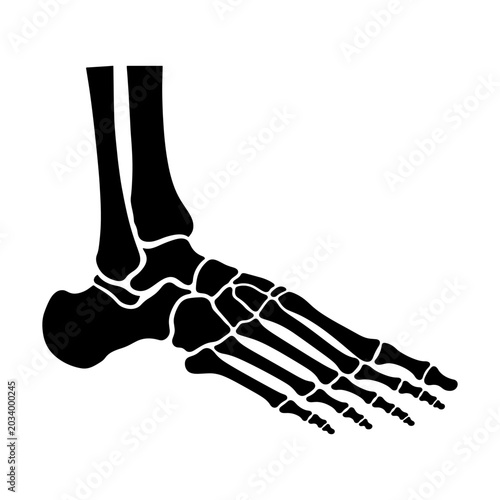 Canvastavla Human foot anatomy illustration black silhouette on a white background silhouett