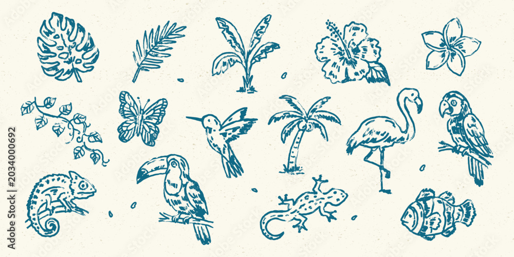 Fototapeta premium Tropical exotic plants and animals chalk doodle vector set in coastal hand drawn style for summer design series 