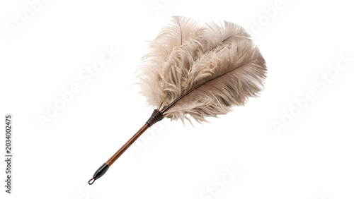 Bild auf Leinwand Vintage feather duster cleaning tool with wooden handle isolated on transparent