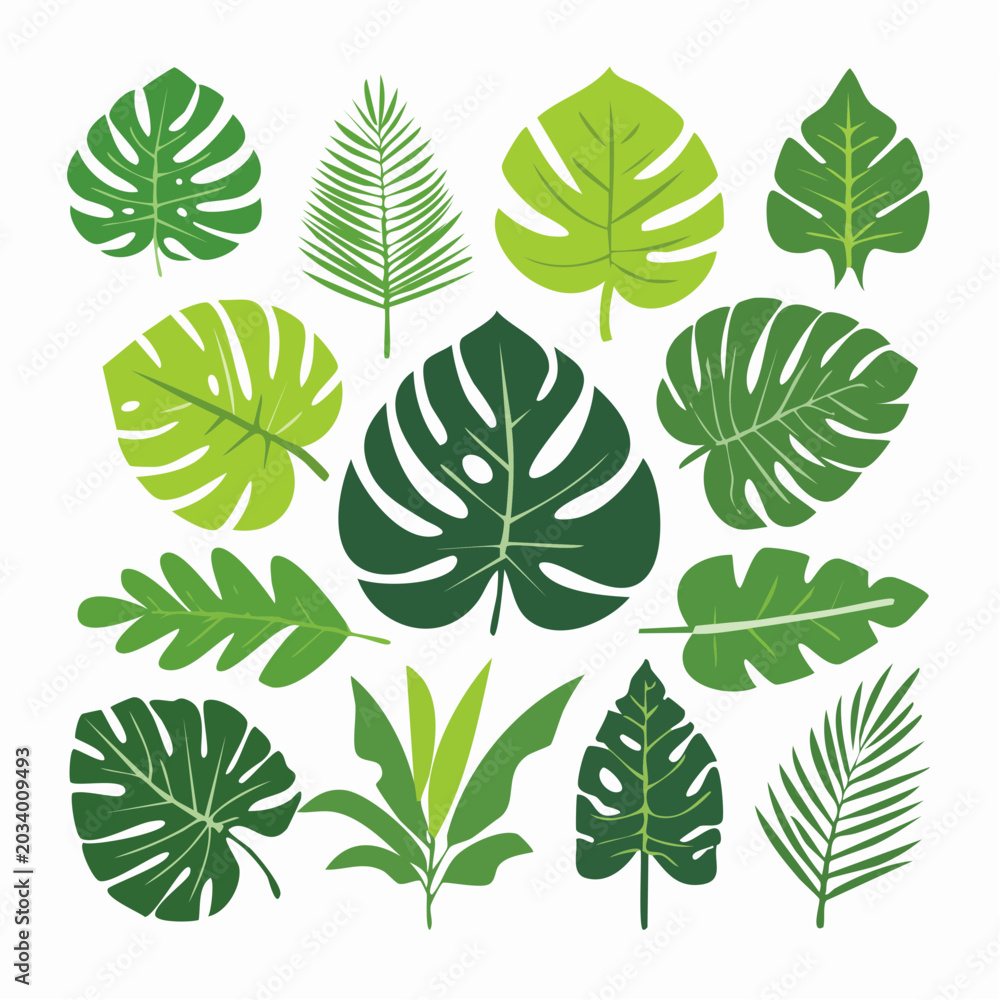 Fototapeta premium Collection of Tropical Leaves in Various Green Shades