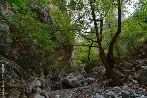Fotografía Kreta - Agia-Irini-Schlucht - Wanderweg