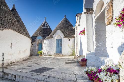 Bild auf Leinwand Trulli d'Alberobello (Pouilles - Italie)