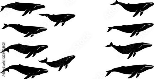 Vászonkép Whale silhouettes in various swimming and breaching poses for marine life conser