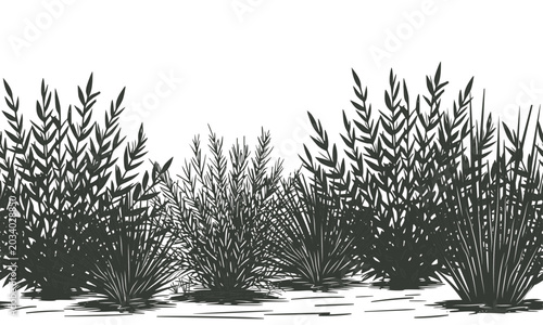 Photos Lush bushes and thickets on a seamless horizontal border