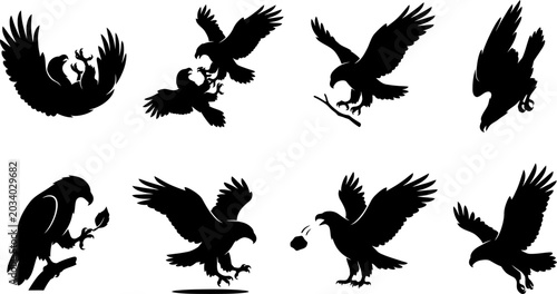Photos Set of eagle silhouettes in flight and action poses for majestic wildlife design