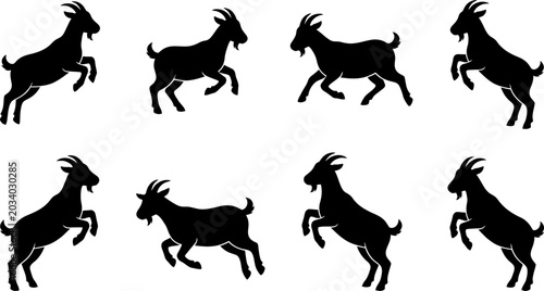 Set of black goat silhouettes in jumping and active poses for farm animal themed graphic design and print media