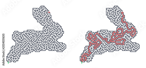 Bunny maze puzzle graphic with solved path illustrated  