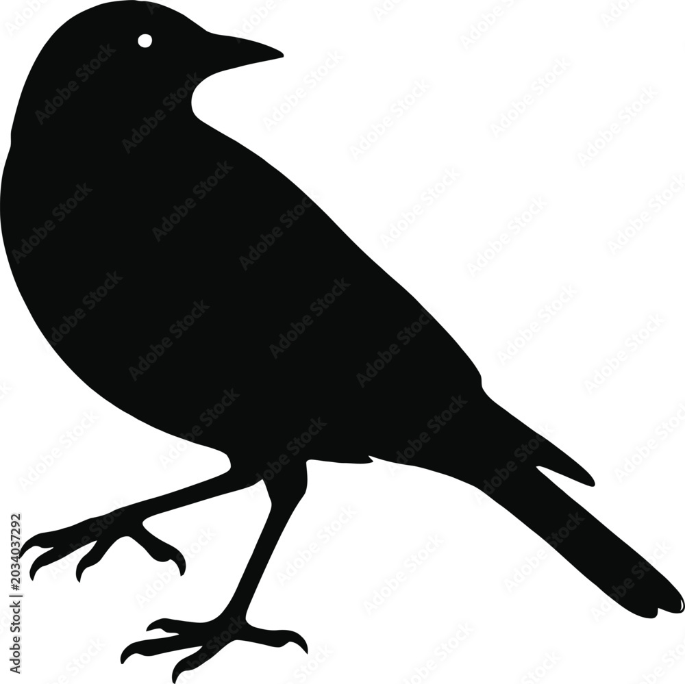 Obraz premium Black silhouette bird standing on one leg isolated transparent background perfect for nature illustrations