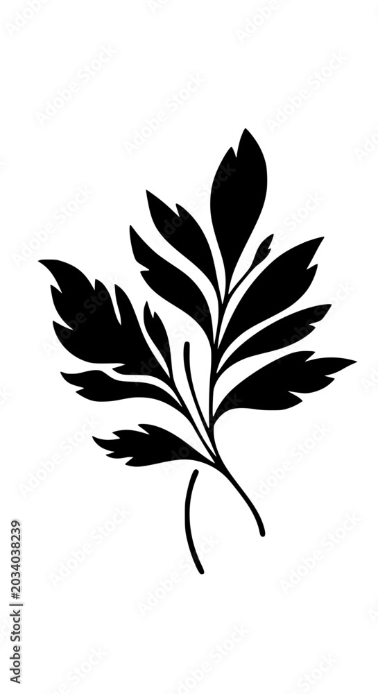 Fototapeta premium Black Silhouette of Minimalist Botanical Leaf Branch on White Background