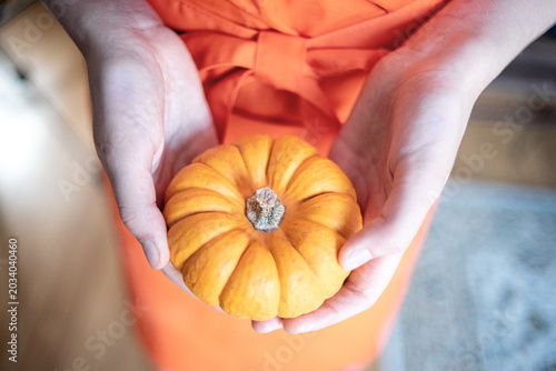 Close-up overhead shot of authentic hands cradling a single fresh organic mini pumpkin, centered, against a warm orange apron. Rustic autumn texture. Ideal for seasonal harvest marketing.
