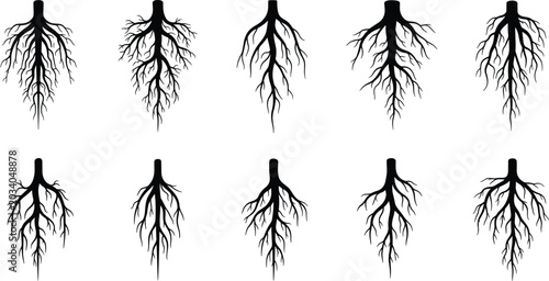 Schilderij op canvas Tree Root Black Silhouette Icon Set with Underground Plant Growth System Structu