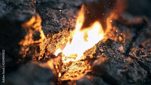 Burning Bark Crack with Flames Sparks and Ember Glow in Dark Cinematic Macro