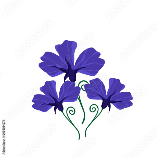 Bild auf Leinwand Beautiful talang flower illustration featuring elegant tropical botanical details and natural floral aesthetics
