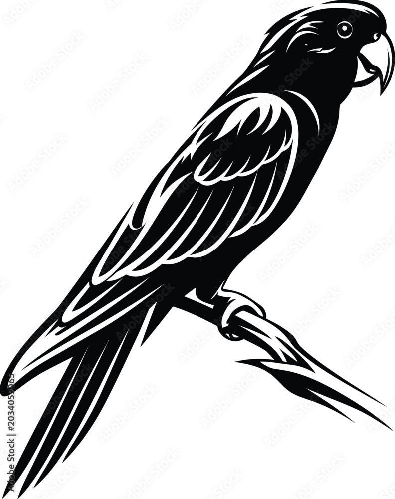 Obraz premium Black and white vector silhouette illustration of a tropical parrot