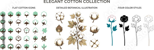 Foto Elegant Cotton Plant Vector Collection with Flat Icons Detailed Botanical Illust