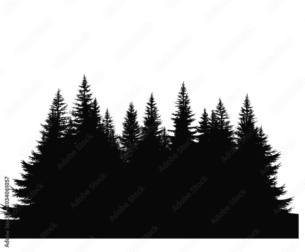 Fototapeta premium Dense pine forest silhouette graphic featuring multiple coniferous evergreen trees arranged in a cluster on transparent background
