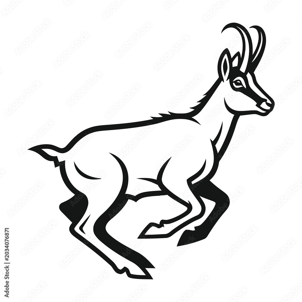 Fototapeta premium Goat running in profile view