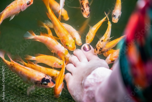 Foto Kangal fish nibble on dead, keratinized skin on woman's foot