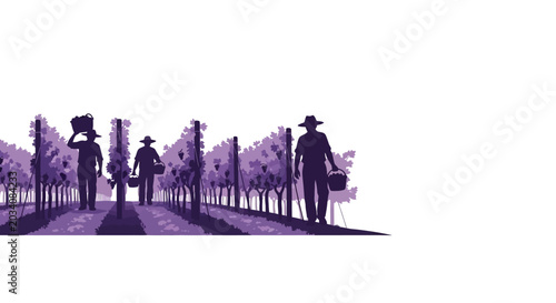 Foto Silhouette of Farmers Harvesting Grapes in Vineyard Field