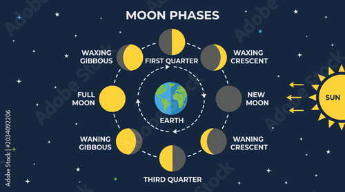 Canvas Print Infographic illustrating lunar cycle phases.