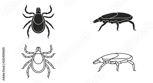 Tick And Beetle Silhouettes On A White Background
