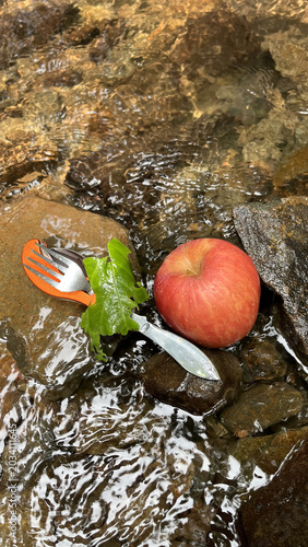 Fresh and healthy apples. Peeled in a clear mountain stream