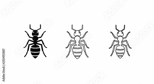 Ant silhouette and outline icons set