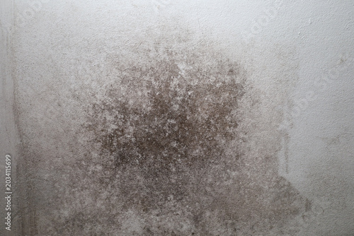 Cuadro en lienzo A large stain of black mold and fungus on the light plaster of an indoor wall due to high humidity