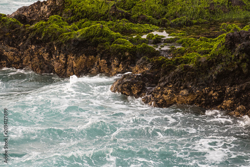 natural lava rock pool