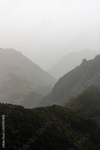morning mist over the mountains