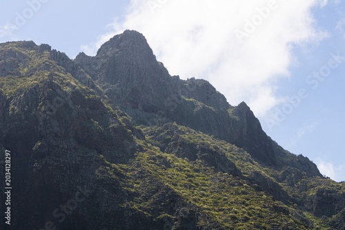 Masc tenerife