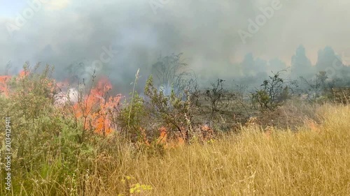 Campo ardiendo sin control de bomberos. Falta de bomberos 
