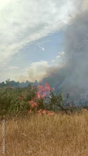 Fuego sin bomberos par apagarlo 