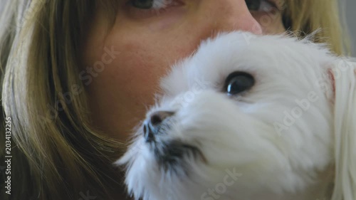 Woman Kissing Cute White Dog on Head. Close Up of Loving Bond Between Owner and Pet.