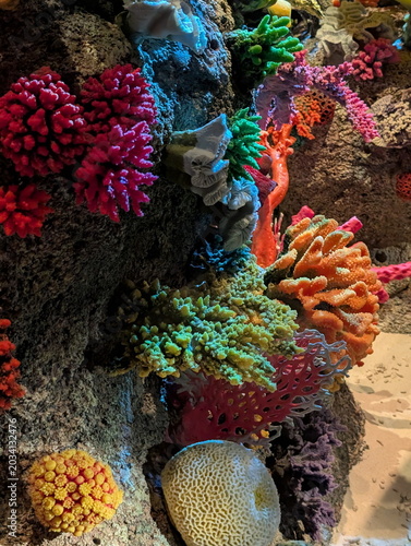 Vibrant Artificial Coral Reef