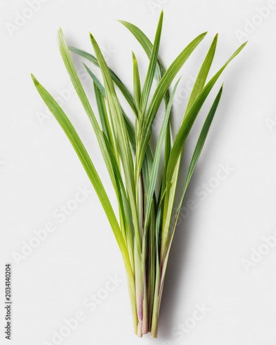 Bunch of fresh, green lemongrass stalks on white