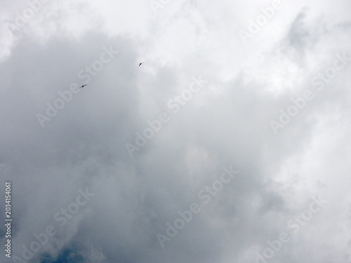 Fotografi Uccelli