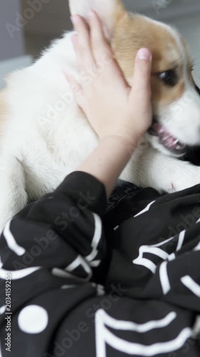 A playful Pembroke Welsh Corgi puppy happily spends time with a child at home, displaying friendliness, fun, and warmth in a cozy home environment. Pet concept.