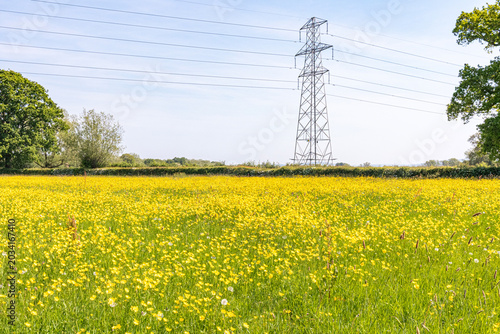 Φωτογραφία A pylon carrying electricity power lines across buttercups growing in a meadow b