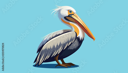 pelican bird clipart vector illustration